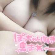 ヒメ日記 2025/10/21 10:06 投稿 おとは ギン妻パラダイス 和歌山店