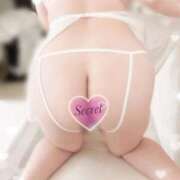 ヒメ日記 2025/10/22 15:00 投稿 おとは ギン妻パラダイス 和歌山店