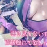 ヒメ日記 2025/10/23 12:43 投稿 おとは ギン妻パラダイス 和歌山店