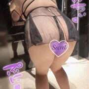 ヒメ日記 2025/10/28 12:36 投稿 おとは ギン妻パラダイス 和歌山店