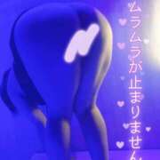 ヒメ日記 2025/11/12 12:16 投稿 おとは ギン妻パラダイス 和歌山店