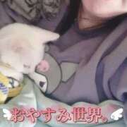 ヒメ日記 2025/11/23 21:18 投稿 おとは ギン妻パラダイス 和歌山店