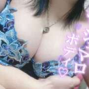 ヒメ日記 2025/11/29 10:10 投稿 おとは ギン妻パラダイス 和歌山店