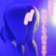 ヒメ日記 2026/01/07 15:01 投稿 おとは ギン妻パラダイス 和歌山店