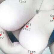 ヒメ日記 2026/01/09 10:00 投稿 おとは ギン妻パラダイス 和歌山店