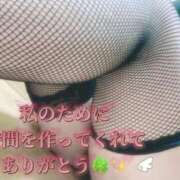 ヒメ日記 2026/01/11 00:27 投稿 おとは ギン妻パラダイス 和歌山店