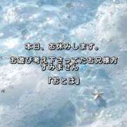 ヒメ日記 2026/01/31 08:08 投稿 おとは ギン妻パラダイス 和歌山店