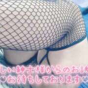 ヒメ日記 2026/02/01 13:15 投稿 おとは ギン妻パラダイス 和歌山店