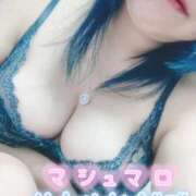 ヒメ日記 2026/02/07 15:59 投稿 おとは ギン妻パラダイス 和歌山店