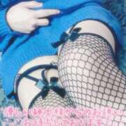 ヒメ日記 2026/02/07 19:14 投稿 おとは ギン妻パラダイス 和歌山店