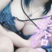 ヒメ日記 2026/02/08 10:48 投稿 おとは ギン妻パラダイス 和歌山店