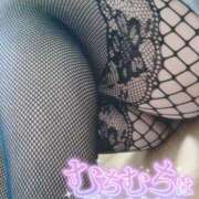 ヒメ日記 2026/02/19 12:08 投稿 おとは ギン妻パラダイス 和歌山店