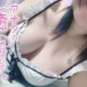 ヒメ日記 2026/03/06 15:30 投稿 おとは ギン妻パラダイス 和歌山店