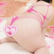 ヒメ日記 2026/03/12 16:24 投稿 おとは ギン妻パラダイス 和歌山店