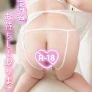 ヒメ日記 2026/03/24 16:49 投稿 おとは ギン妻パラダイス 和歌山店