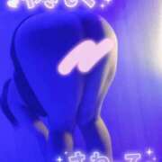 ヒメ日記 2026/03/30 12:00 投稿 おとは ギン妻パラダイス 和歌山店