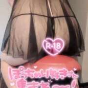 ヒメ日記 2026/04/05 09:02 投稿 おとは ギン妻パラダイス 和歌山店