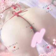 ヒメ日記 2026/04/22 15:15 投稿 おとは ギン妻パラダイス 和歌山店