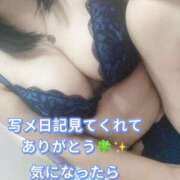 ヒメ日記 2026/07/10 10:02 投稿 おとは ギン妻パラダイス 和歌山店