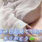 ヒメ日記 2026/07/24 12:29 投稿 おとは ギン妻パラダイス 和歌山店