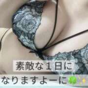 ヒメ日記 2026/09/27 09:31 投稿 おとは ギン妻パラダイス 和歌山店