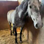 ヒメ日記 2024/12/30 13:04 投稿 りりあ 奥様プリモ