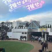 ヒメ日記 2024/12/30 19:52 投稿 りりあ 奥様プリモ