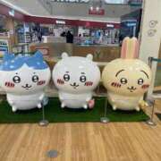 ヒメ日記 2025/03/04 20:35 投稿 りりあ 奥様プリモ