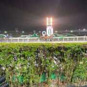 ヒメ日記 2025/03/12 23:29 投稿 りりあ 奥様プリモ