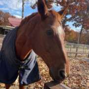 ヒメ日記 2025/03/18 15:59 投稿 りりあ 奥様プリモ