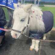 ヒメ日記 2025/05/09 17:19 投稿 りりあ 奥様プリモ