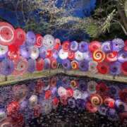 ヒメ日記 2025/08/01 00:19 投稿 りりあ 奥様プリモ