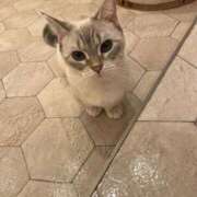 ヒメ日記 2025/09/16 21:59 投稿 りりあ 奥様プリモ