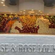 ヒメ日記 2025/11/15 14:29 投稿 りりあ 奥様プリモ