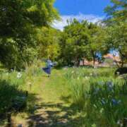 ヒメ日記 2025/03/08 16:20 投稿 ゆりな 紳士の嗜み 立川