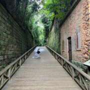 ヒメ日記 2025/07/28 13:08 投稿 ゆりな 紳士の嗜み 立川