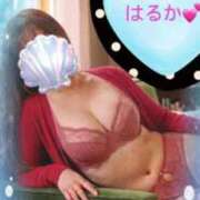 はるか おはようございます 即アポ奥さん〜名古屋店〜