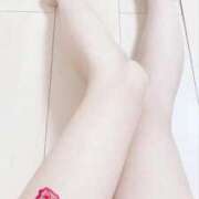 ヒメ日記 2024/12/19 08:49 投稿 桃山　ふたば ベルサイユの薔薇