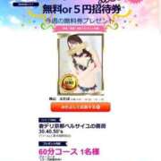 ヒメ日記 2025/01/24 17:19 投稿 桃山　ふたば ベルサイユの薔薇