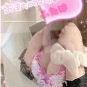 ヒメ日記 2025/02/11 01:09 投稿 桃山　ふたば ベルサイユの薔薇