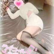 ヒメ日記 2025/03/01 09:09 投稿 桃山　ふたば ベルサイユの薔薇