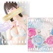 ヒメ日記 2025/07/17 19:29 投稿 桃山　ふたば ベルサイユの薔薇