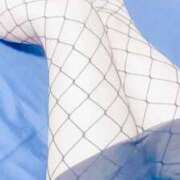 ヒメ日記 2025/07/31 15:19 投稿 桃山　ふたば ベルサイユの薔薇