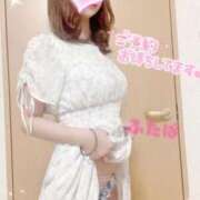 ヒメ日記 2025/09/15 09:42 投稿 桃山　ふたば ベルサイユの薔薇