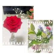 ヒメ日記 2025/10/28 01:42 投稿 桃山　ふたば ベルサイユの薔薇