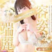 ヒメ日記 2025/10/30 09:02 投稿 桃山　ふたば ベルサイユの薔薇