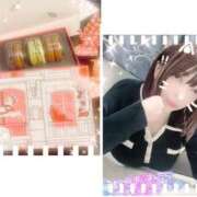 ヒメ日記 2026/02/03 11:02 投稿 桃山　ふたば ベルサイユの薔薇