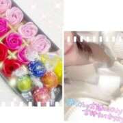 ヒメ日記 2026/02/26 00:32 投稿 桃山　ふたば ベルサイユの薔薇