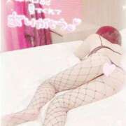 ヒメ日記 2026/03/04 14:32 投稿 桃山　ふたば ベルサイユの薔薇