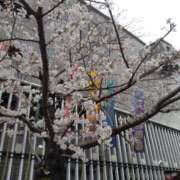 ヒメ日記 2025/03/30 12:14 投稿 しょうこ 汁婆クラブ